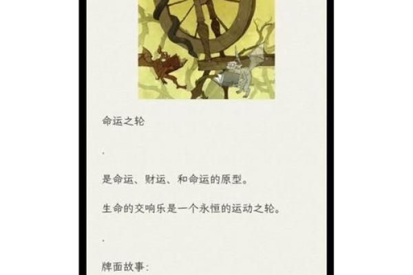 探寻有贵子命的女人八字特征，助你解析命运之谜