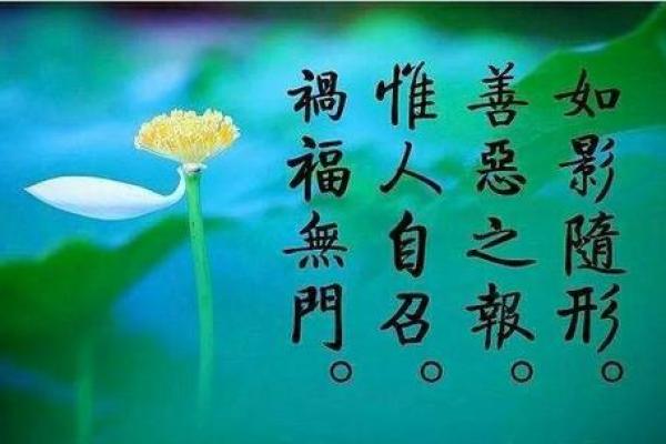探索王国涛的五行命理：揭示其命运奥秘与人生智慧
