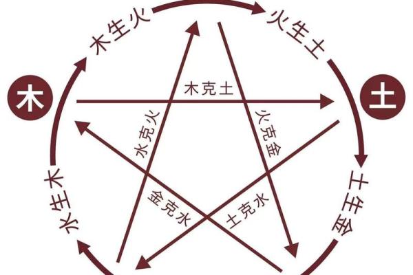 探寻五行之谜：男人命运与五行属性的深刻关联