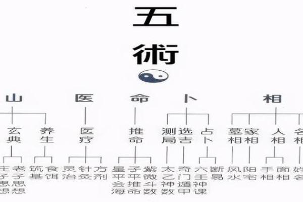 乙未仙命风水详解：最佳山向与人生运势