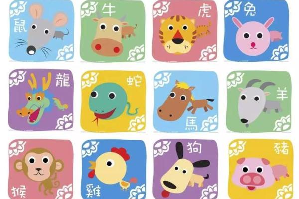 算命富贵之命的生肖：揭秘谁是最有财富运势的动物