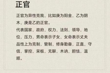 阴命与阳命的奥秘:如何理解和运用命理学