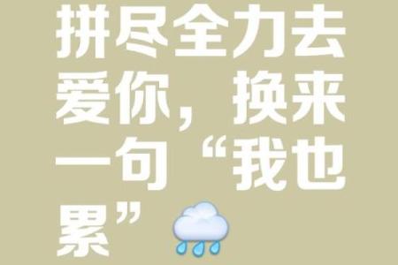 在乎与执着：我拼了命的在乎你背后的情感真谛