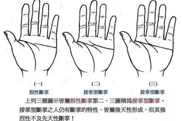 双手断掌的命运解析：揭示性格与人生的神秘联系