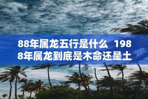 土命与五行命理的最佳搭档：揭秘土命与哪些命最配对