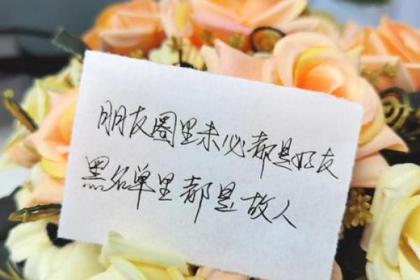 相信命运的力量：为何我对生活的每一次相遇充满期待