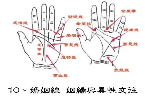 探索手相的秘密：揭秘什么样的手相更容易发财！