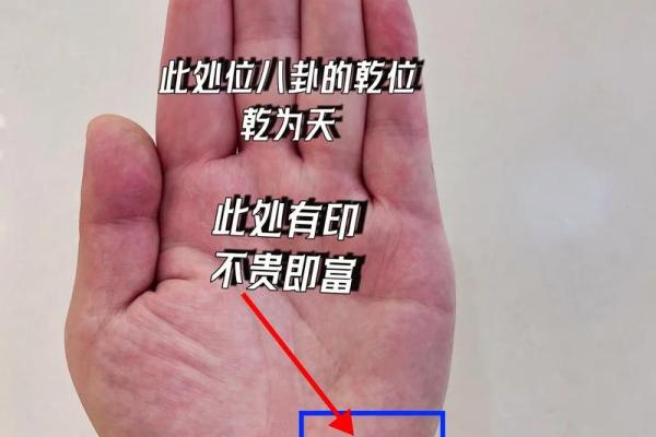 探索手相的秘密：揭秘什么样的手相更容易发财！