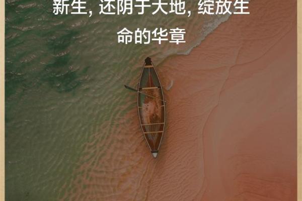 阳命与阴命：深度解析命理的奥秘与人生的选择