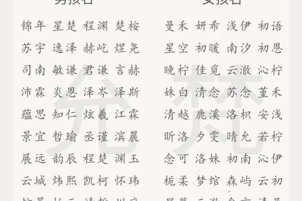 土命属鼠的命名艺术：如何为宝宝选个吉祥名字？