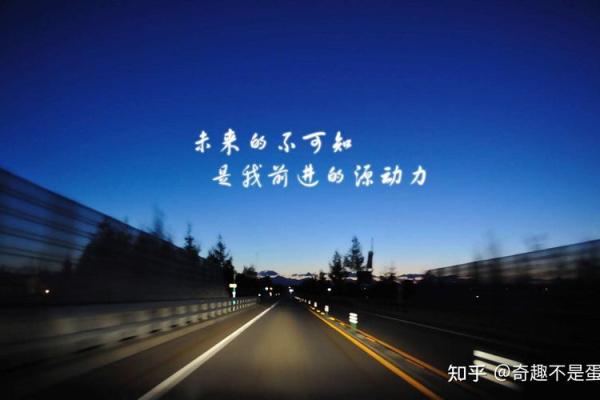 为什么我们要拼了命的努力：追寻梦想与自我价值的旅程