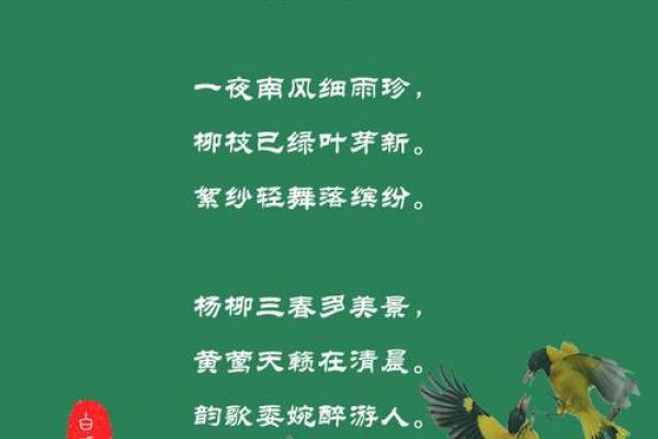 杨柳木命女子与什么命男子最为般配？