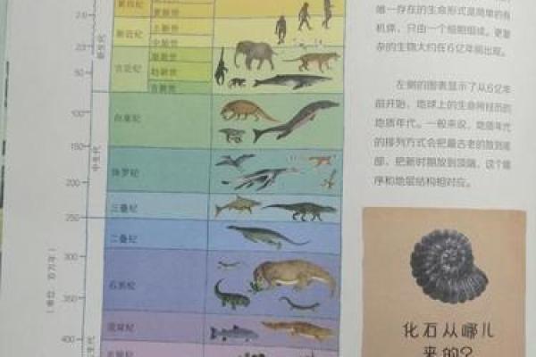 探秘命理中的飞命：揭示不一样的生命旅程与未来可能性