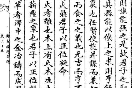 巽木命的职业发展:适合你的工作选择与发展路径