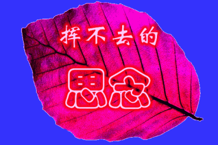 探索《尸魂入命》:生命与灵魂的交错旅程