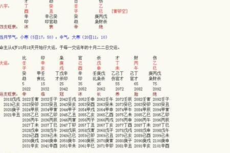 阳历12月14日出生的人命运解析:天赋与挑战并存的命理之旅