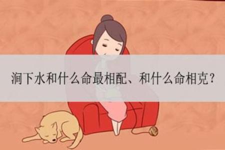 水命者最适合与哪些命相配？揭秘五行相生之道