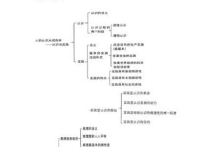 探索人生命理:解读命运与人生的奥秘