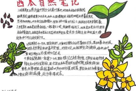 探索自然的奇妙旅程:自然现象与生物的奇趣记忆