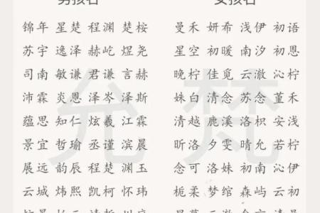 土命属鼠的命名艺术：如何为宝宝选个吉祥名字？