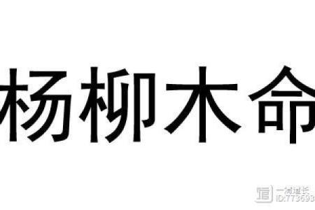杨柳木命女子与什么命男子最为般配?