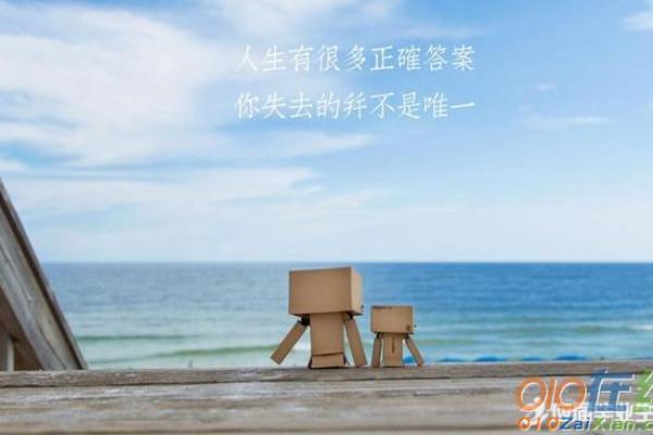 探秘“二马一鞍”的深意与人生启示