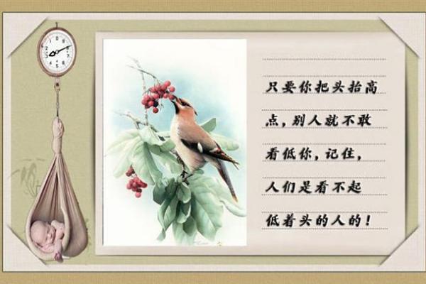 探秘“二马一鞍”的深意与人生启示