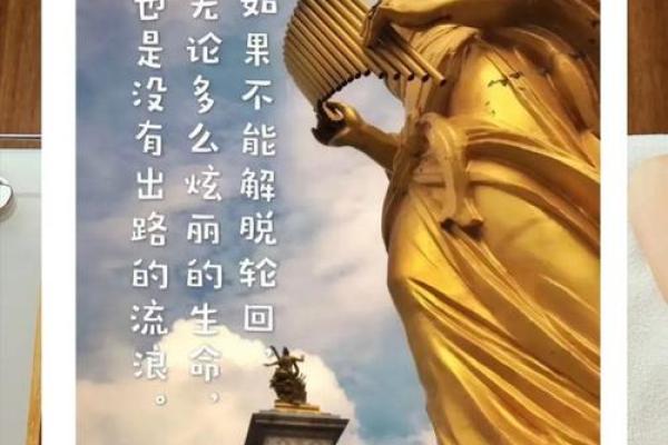 探寻“生命”背后的“命”字寓意与哲学思考