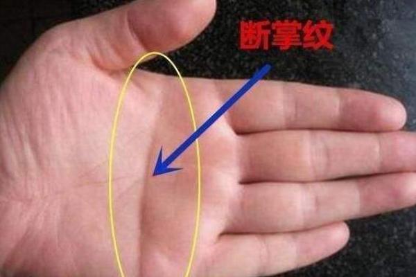 四转摸金：如何选择最适合你的命纹？