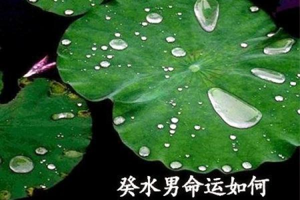 为什么某些男命八字容易被绿？深度解析背后的原因