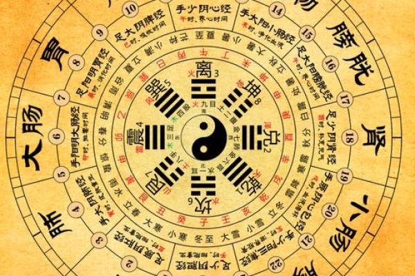 探索命理：如何根据五行命理调整生活运势？