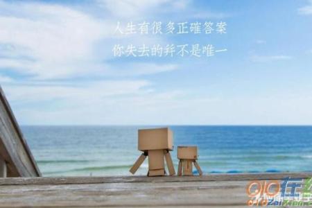 探秘“二马一鞍”的深意与人生启示