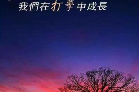 探索倒食三命通会的奥秘:解读人生与命运的奇妙交织