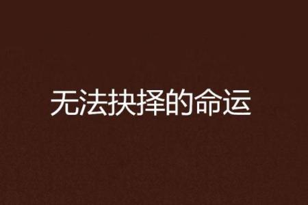 探讨为何有些女人命中注定多夫缘：命运与选择的交织