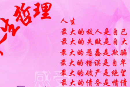 寻找人生方向：以命为鉴，智慧导航