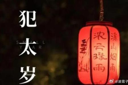 探秘蛇年:下一个生肖的命运与人生启示