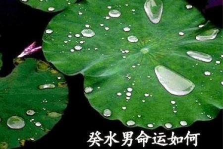 为什么某些男命八字容易被绿?深度解析背后的原因