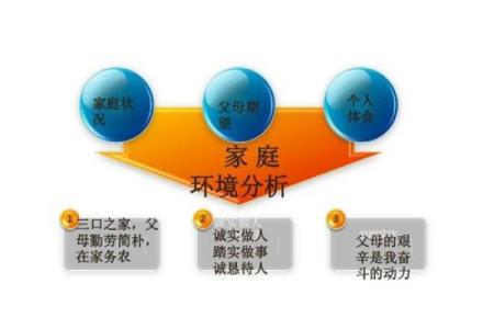 一九九五年出生的人命运解析：如何掌握属于你的精彩人生