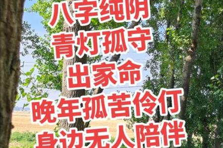 探索八字纯阴命格:生辰如何决定命运的阴阳平衡