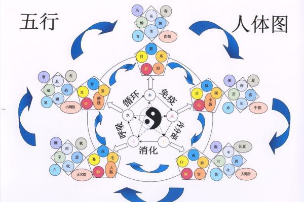 五行缺两行命理解析：如何通过五行调和提升运势