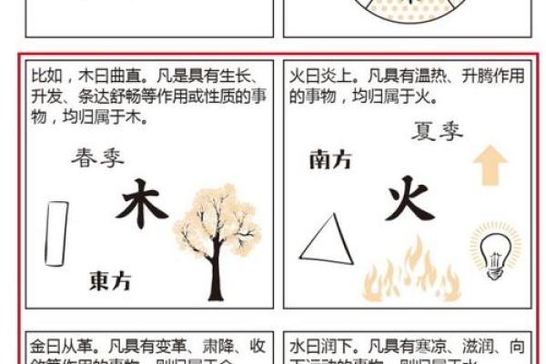五行与命运：探寻命理的深邃智慧