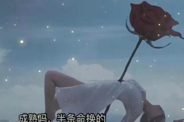 一个半条命的男孩：在命运的缝隙中寻找希望与勇气