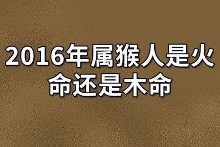 探索五行之谜:木命与火命的深刻内涵