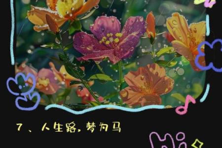 一草一木一生命:探寻自然之美与生命的哲理