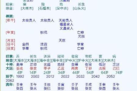 辛酉日柱命局解析:深度解读辛酉命主的独特人生轨迹与性格特点