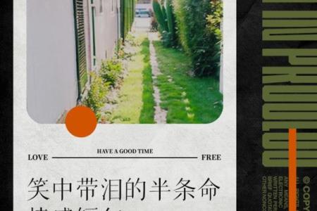 一个半条命的男孩:在命运的缝隙中寻找希望与勇气