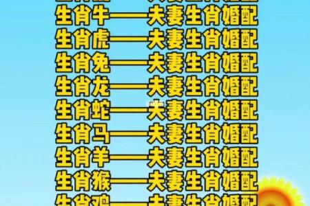 探寻八字中男命的理想对象,寻找幸福的钥匙!