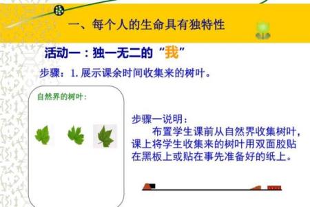 天赋与命运：探寻每个人生命的独特轨迹