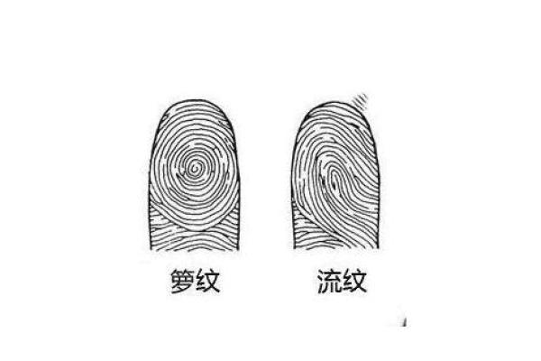 五个斗五个簸箕：命运背后的隐秘密码