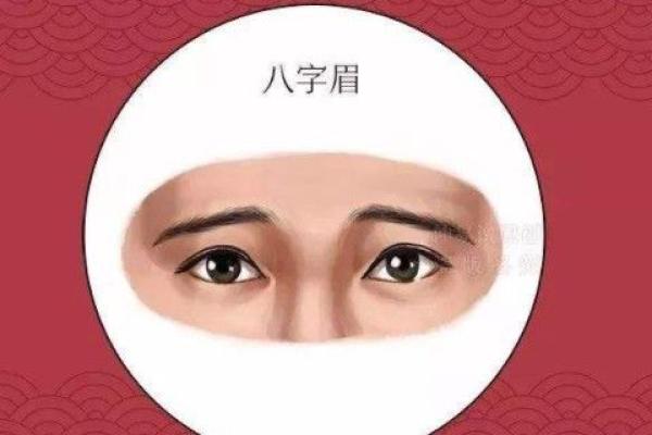 一九八三年出生的属性解析：命运与性格的深度解读